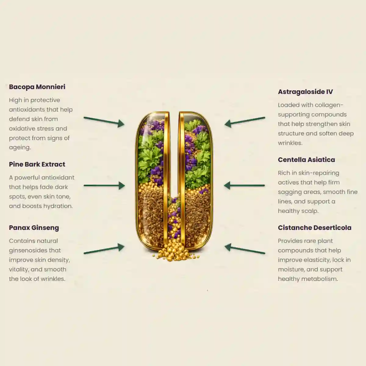 Axavive ingredients