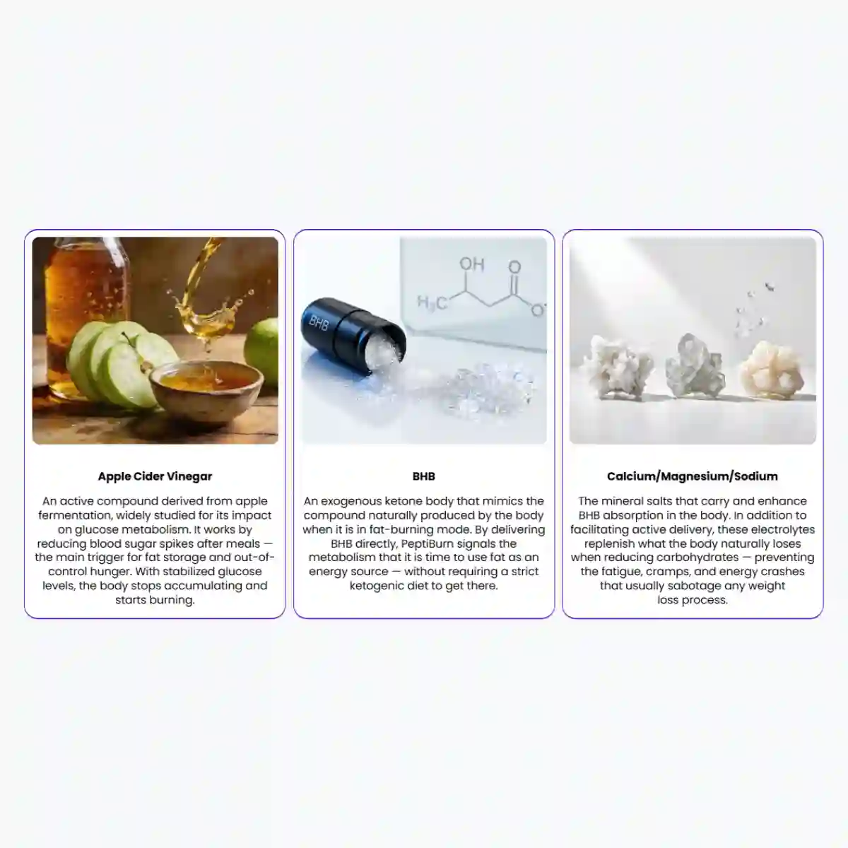 JellyTide ingredients