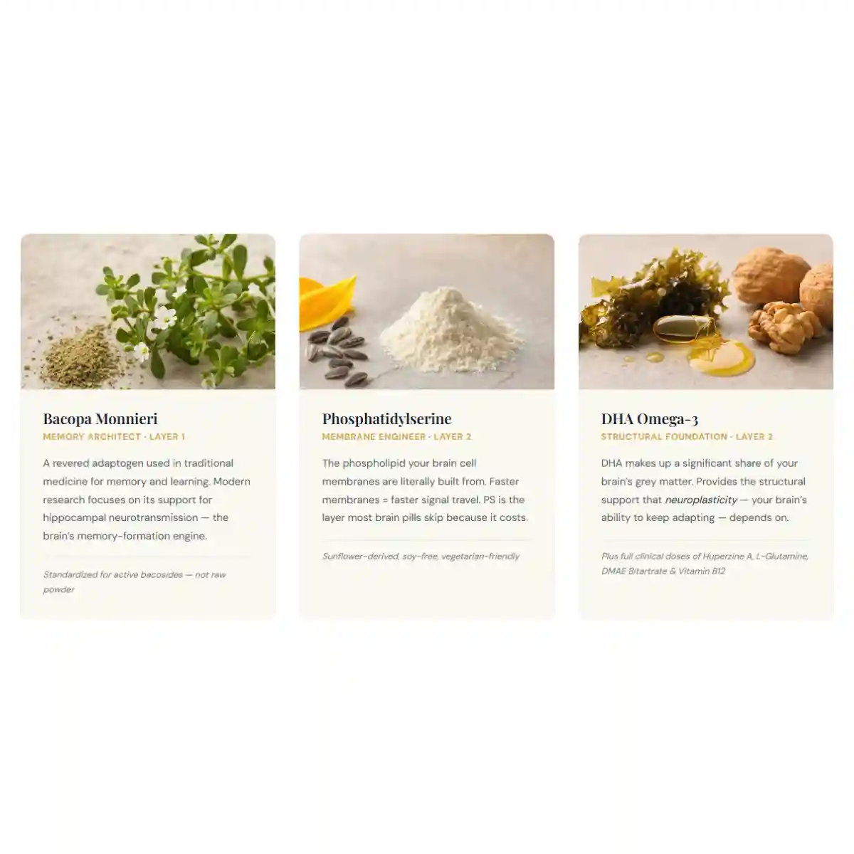 NovuBrainPlus ingredients