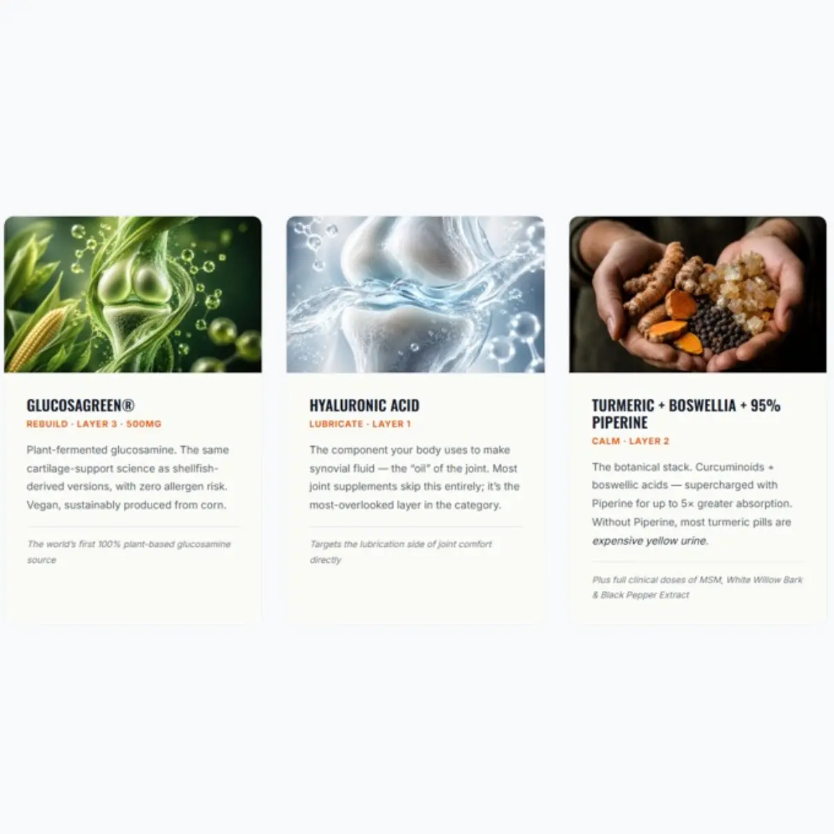 NovuMotion Ingredients