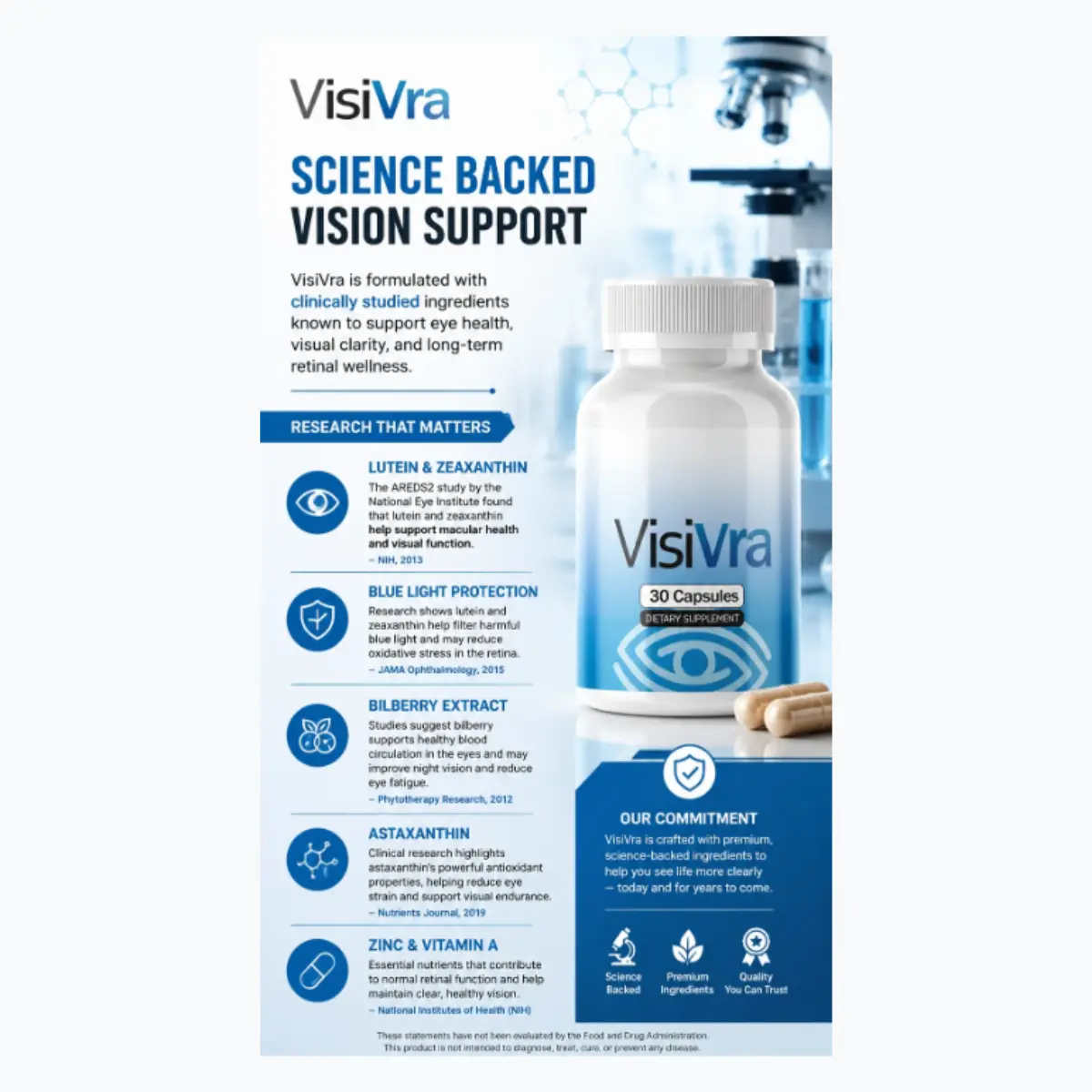visivra features