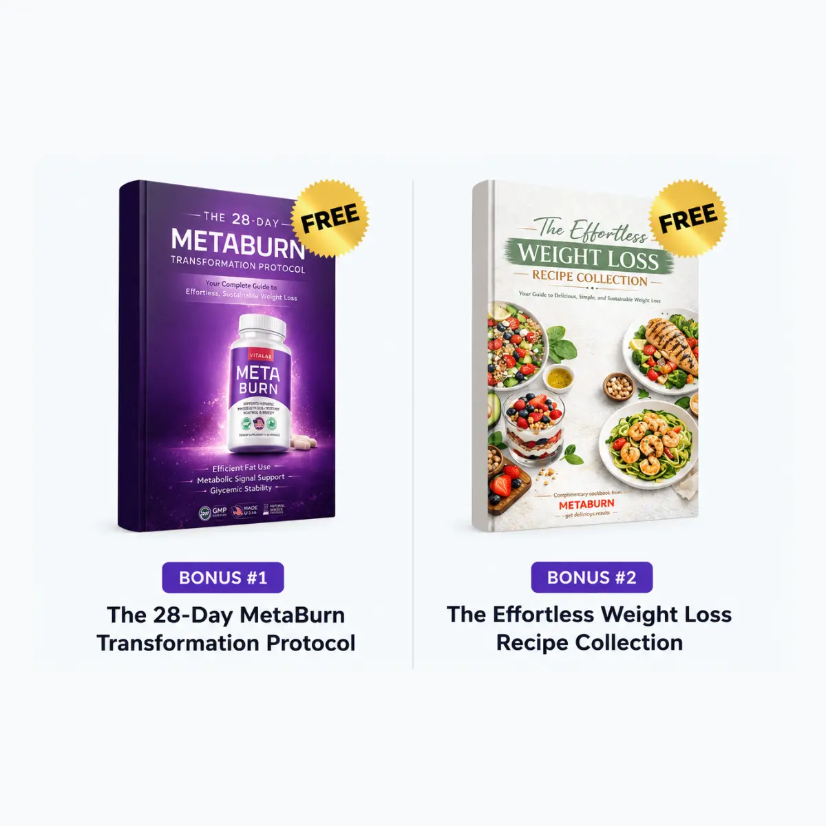 MetaBurn Bonus