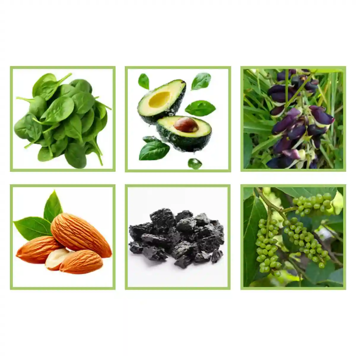TITAN TRANSFORM Ingredients